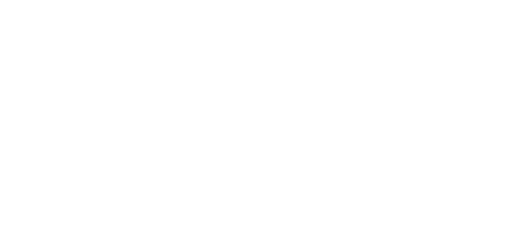 Veteriner Scripti V1
