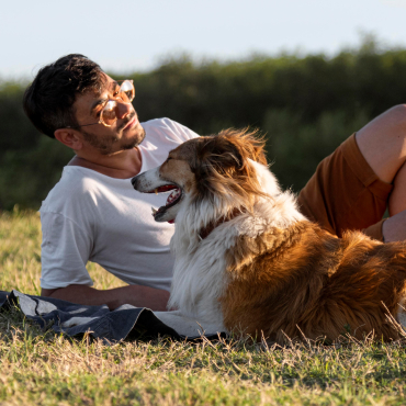 10 Yaşındaki Köpek Check-Up Oluyor! ( Sonuçları Nasıl Çıktı? )